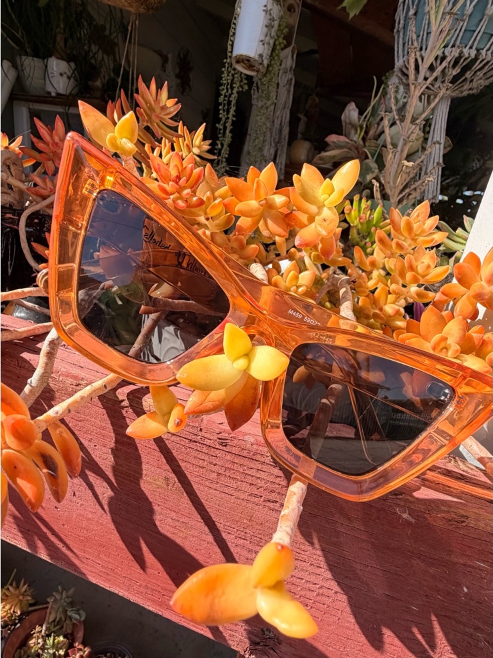 Amazon Orange Cat-Eye Sunglasses - Picture 6 of 8